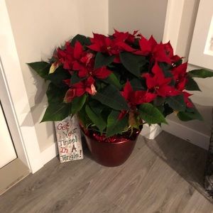 Meet your Posher, Christie